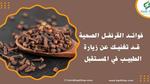 فوائد القرنفل المتعددة للصحة والجمال