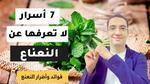 فوائد النعناع الصحية المدهشة